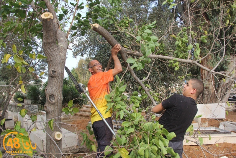 tasoooi3i1412 (63).JPG